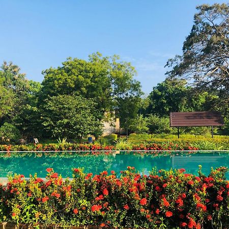 Lolu Village Resort Anuradhapura Kültér fotó